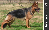 Quenn vom L�her Weg daughter