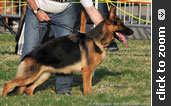 Quenn vom L�her Weg daughter
