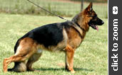Yash von der Bastillie