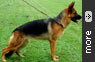 GSD Shows Gallery