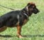 Glory von Lotta - 4.5 months