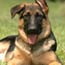 Glory von Lotta - 4.5 months