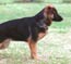 Elba von Lotta - 4.5 months