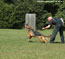 German Shepherd Pola training