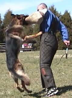 Show line GSD in SchH training