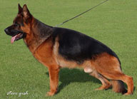 Arre vom H�hnegrab
