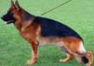 Small picture of V Atlas von Wizards Hof